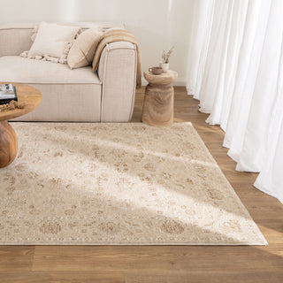 BV Rugs