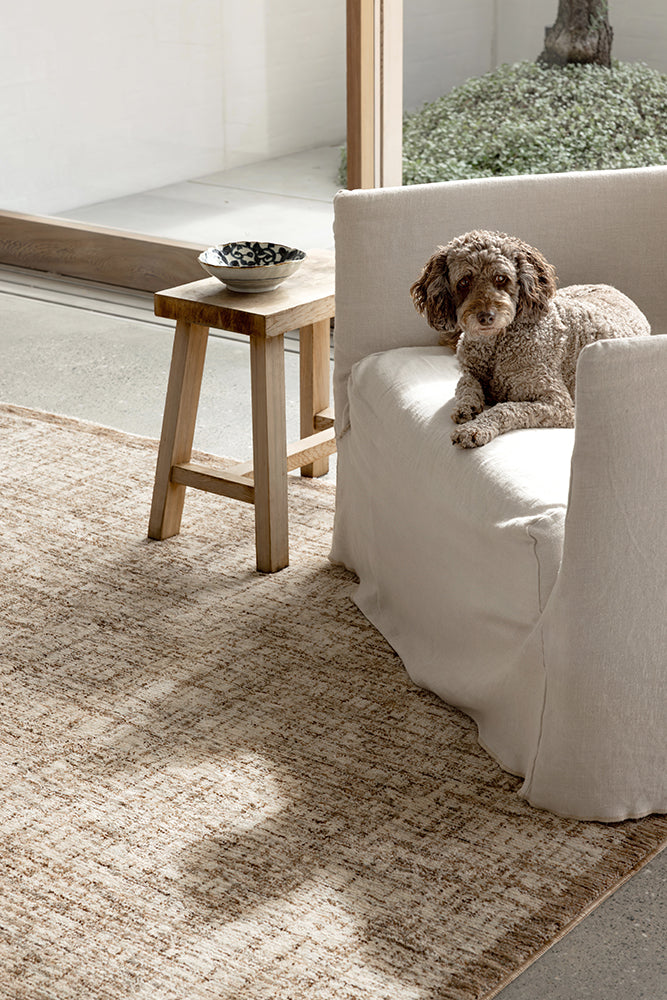 Synthetic Rugs Collection | Durable & Affordable Designs – Simple Style Co