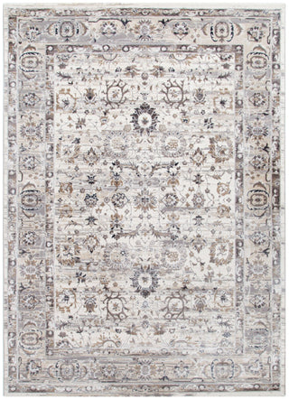 Atina Distressed Transitional Beige Grey Rug