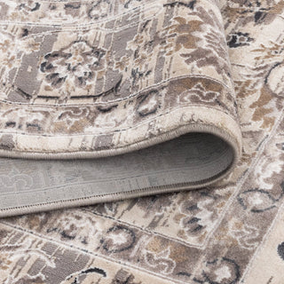 Atina Distressed Transitional Beige Grey Rug