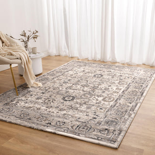 Atina Distressed Transitional Beige Grey Rug