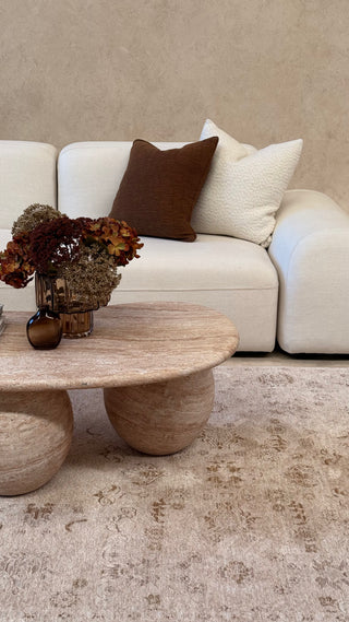 Delphine Warm Biscotti Vintage Beige Rug