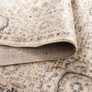 Detail of Arya Ziegler cream and grey distressed traditional rug pattern