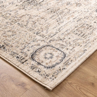 Detailed view of Arya Ziegler cream and grey distressed rug pattern