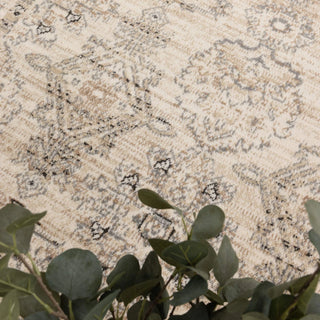 Close-up texture of Arya Ziegler cream and grey traditional rug showing 9mm pile detail