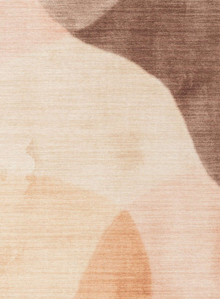 Camas Blush Abstract Indoor Outdoor Washable Rug