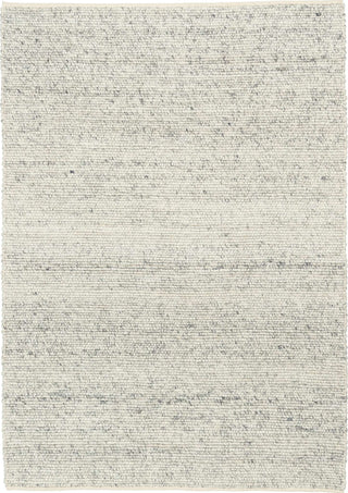 Textured area rug with a neutral color palette on a white background