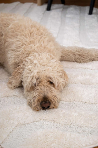 Noto Ivory Striped Round Rug